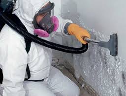 Best Mold Prevention Services  in Rose Hill, NC